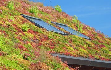 Stowmarket living roof systems
